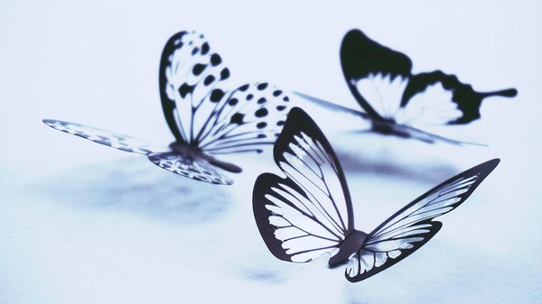 L'agence d'artistes qui vous guide vers l'innovation visuelle